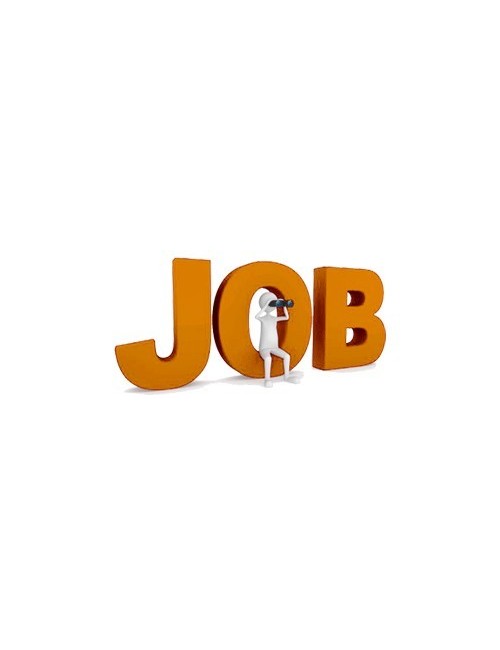 Offre d'emploi - Assistant(e) Polyvalent(e) : Administratif & Communication